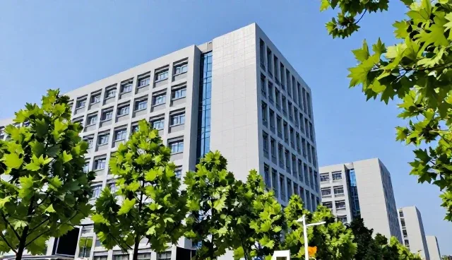 会务执行中常见问题与优化建议